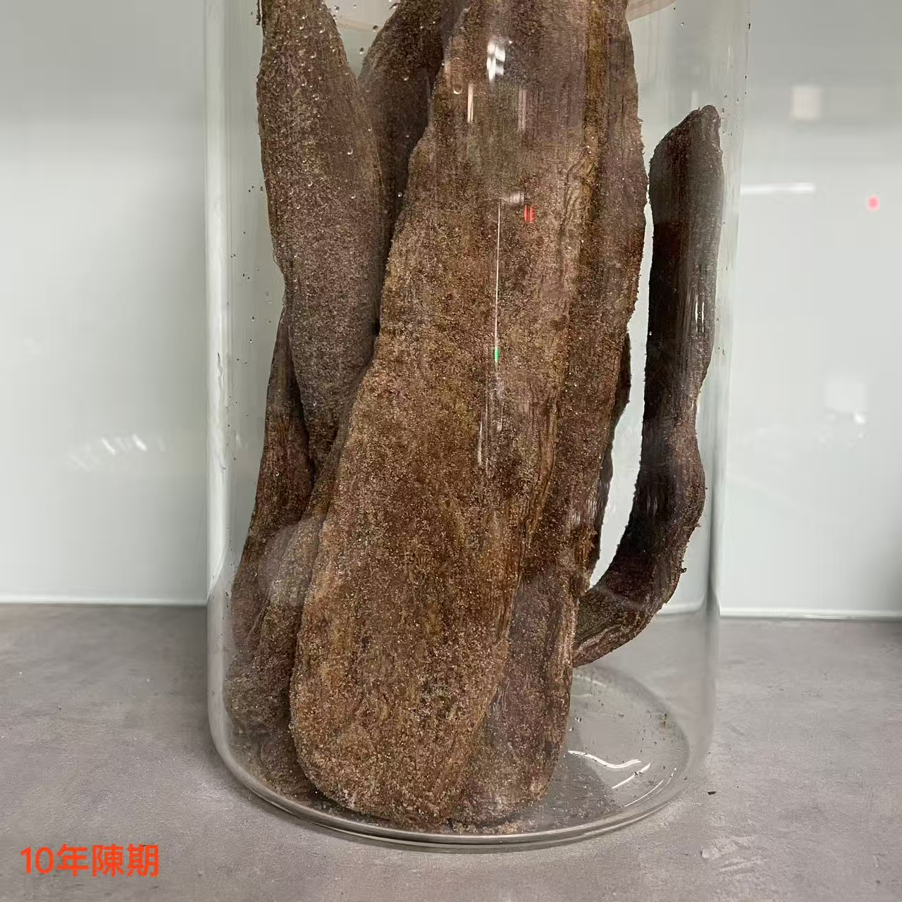 手作蘿蔔蔘10年陳期